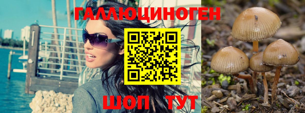 Галлюциногенные грибы GOLDEN TEACHER Уфа