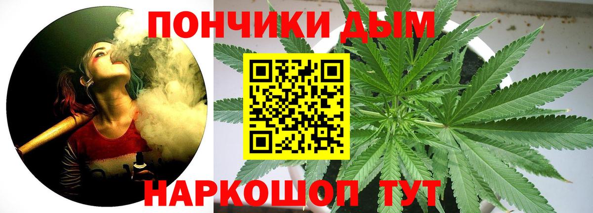 Бошки Шишки конопля Уфа
